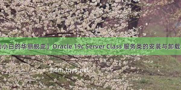 【零基础小白的华丽蜕变】Oracle 19c Server Class 服务类的安装与卸载（流程图）