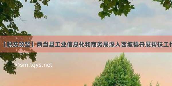 【脱贫攻坚】两当县工业信息化和商务局深入西坡镇开展帮扶工作