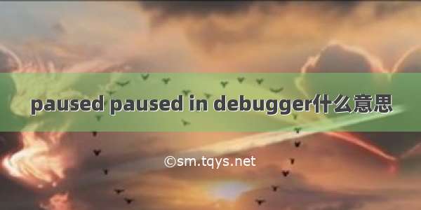 paused paused in debugger什么意思