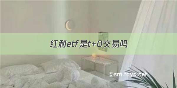 红利etf是t+0交易吗