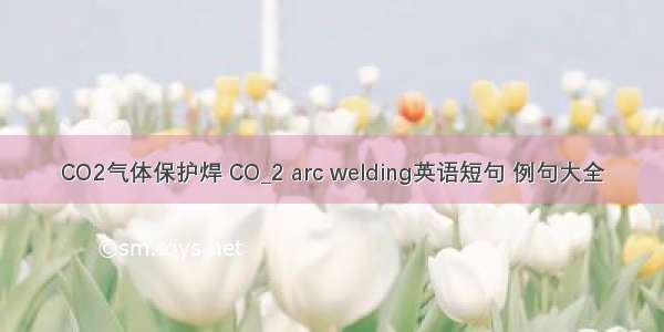 CO2气体保护焊 CO_2 arc welding英语短句 例句大全