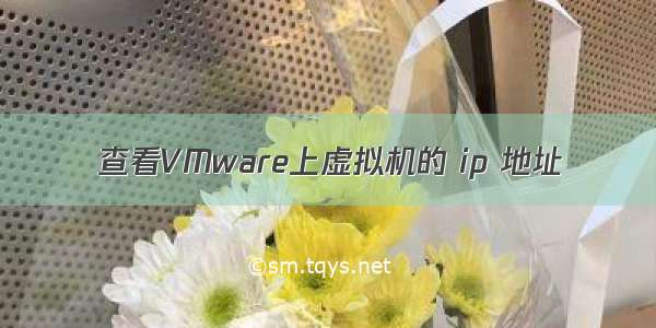 查看VMware上虚拟机的 ip 地址