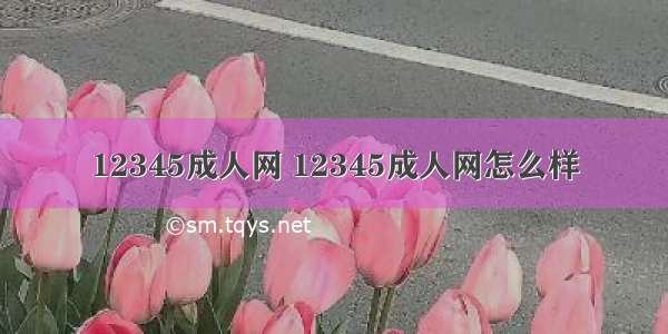 12345成人网 12345成人网怎么样