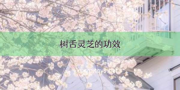 树舌灵芝的功效