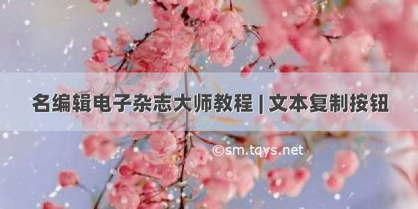 名编辑电子杂志大师教程 | 文本复制按钮