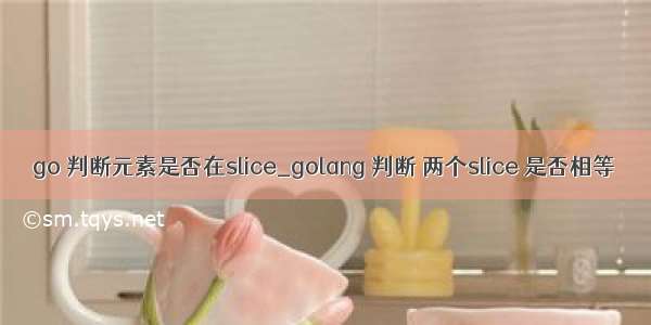 go 判断元素是否在slice_golang 判断 两个slice 是否相等