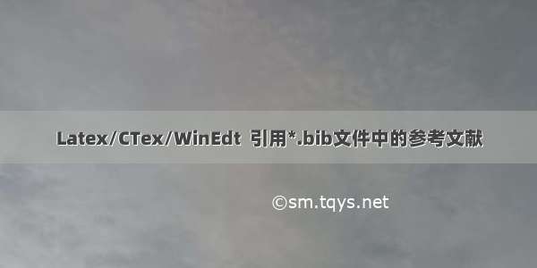 Latex/CTex/WinEdt  引用*.bib文件中的参考文献