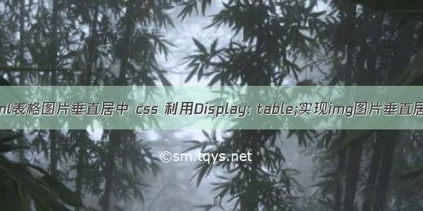 html表格图片垂直居中 css 利用Display: table;实现img图片垂直居中