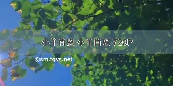 小羊肖恩 小羊肖恩 720P