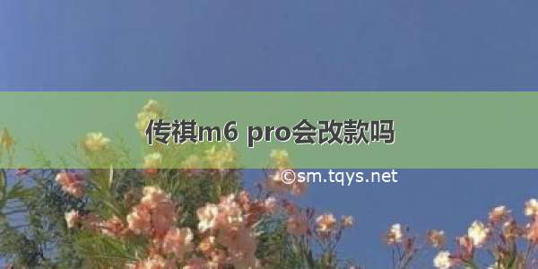 传祺m6 pro会改款吗