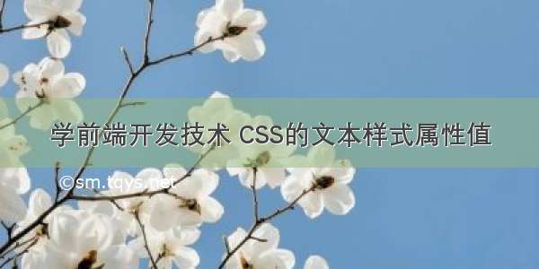 学前端开发技术 CSS的文本样式属性值