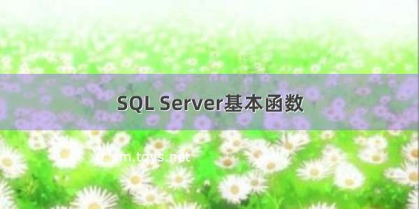 SQL Server基本函数