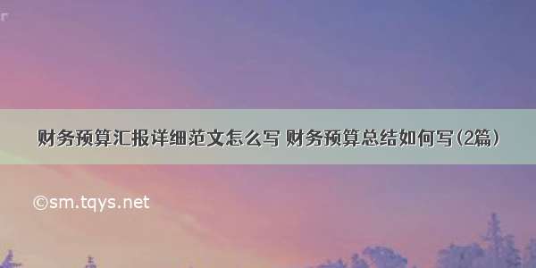 财务预算汇报详细范文怎么写 财务预算总结如何写(2篇)