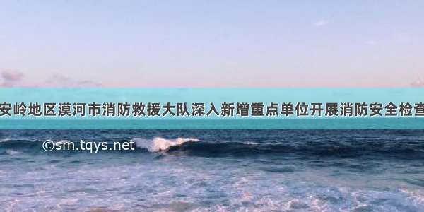 大兴安岭地区漠河市消防救援大队深入新增重点单位开展消防安全检查工作