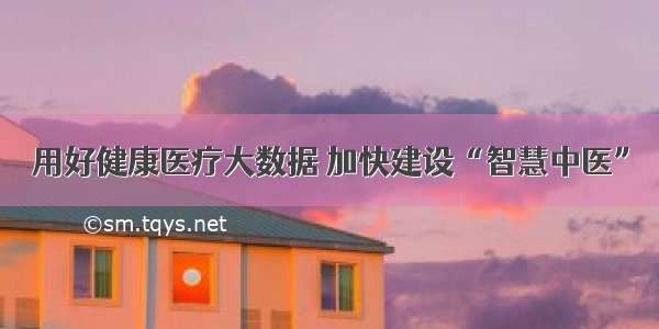 用好健康医疗大数据 加快建设“智慧中医”