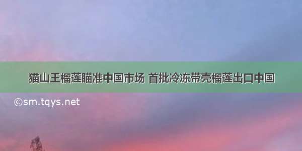 猫山王榴莲瞄准中国市场 首批冷冻带壳榴莲出口中国