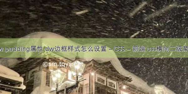 dw padding属性 dw边框样式怎么设置 – CSS – 前端 css横向二级菜单