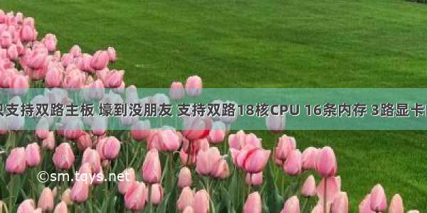 服务器内存只支持双路主板 壕到没朋友 支持双路18核CPU 16条内存 3路显卡的主板来了...