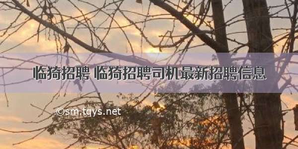 临猗招聘 临猗招聘司机最新招聘信息