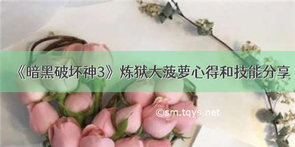 《暗黑破坏神3》炼狱大菠萝心得和技能分享