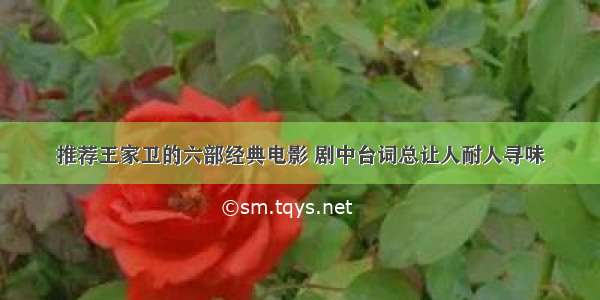 推荐王家卫的六部经典电影 剧中台词总让人耐人寻味