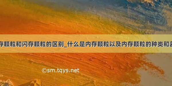 内存颗粒和闪存颗粒的区别_什么是内存颗粒以及内存颗粒的种类和差别