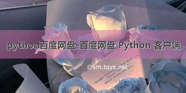 python百度网盘-百度网盘 Python 客户端