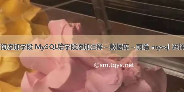 mysql查询添加字段 MySQL给字段添加注释 – 数据库 – 前端 mysql 选择题及答案