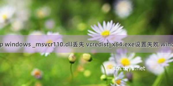 msvcr110.dll php windows _msvcr110.dll丢失 vcredist_x64.exe设置失败 windows - phpStudy