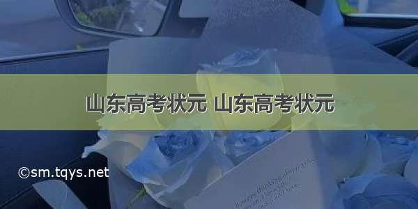 山东高考状元 山东高考状元