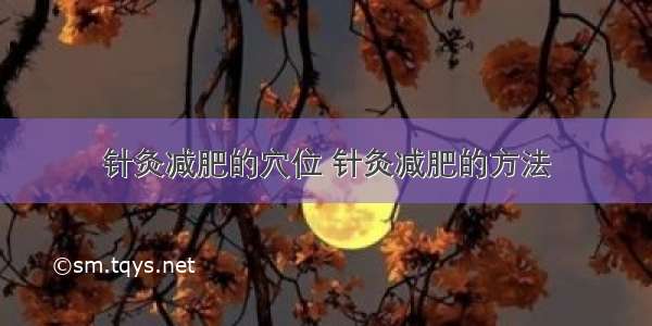 针灸减肥的穴位 针灸减肥的方法