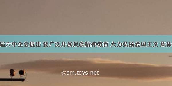 党的十七届六中全会提出 要广泛开展民族精神教育 大力弘扬爱国主义 集体主义 社会