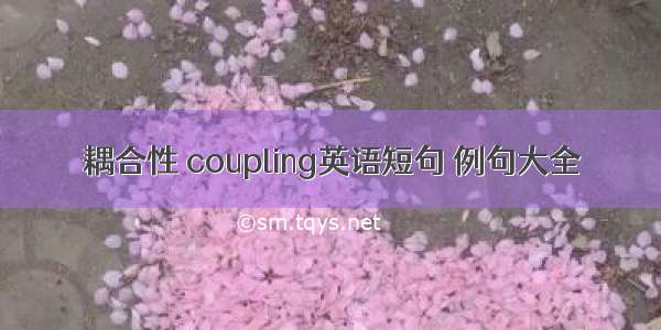 耦合性 coupling英语短句 例句大全