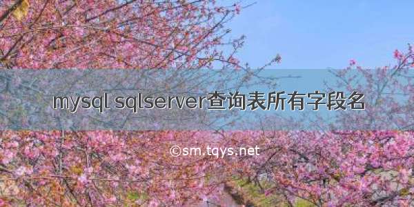 mysql sqlserver查询表所有字段名