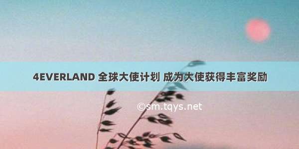 4EVERLAND 全球大使计划 成为大使获得丰富奖励