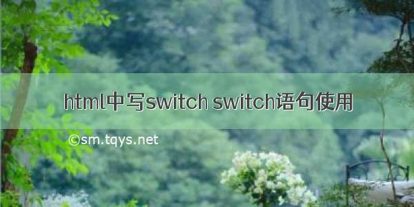 html中写switch switch语句使用