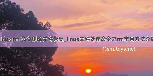 linux rm 命令删除文件恢复_linux文件处理命令之rm常用方法介绍