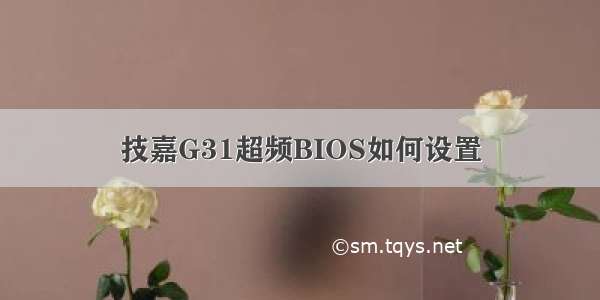 技嘉G31超频BIOS如何设置