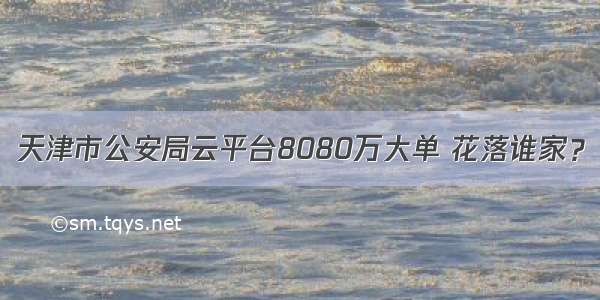 天津市公安局云平台8080万大单 花落谁家？