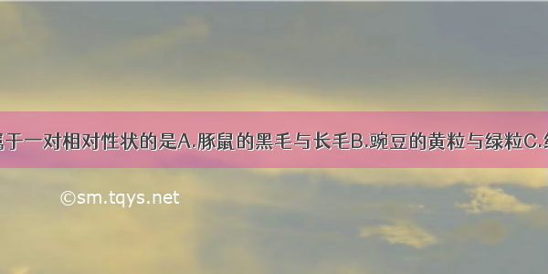 下列性状中属于一对相对性状的是A.豚鼠的黑毛与长毛B.豌豆的黄粒与绿粒C.绵羊的长毛与