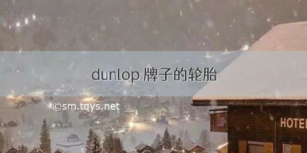 dunlop 牌子的轮胎