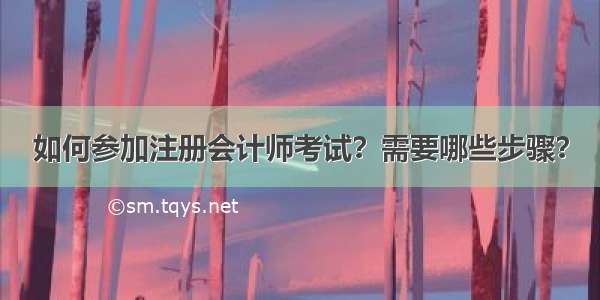 如何参加注册会计师考试？需要哪些步骤？