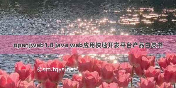 openjweb1.8 java web应用快速开发平台产品白皮书