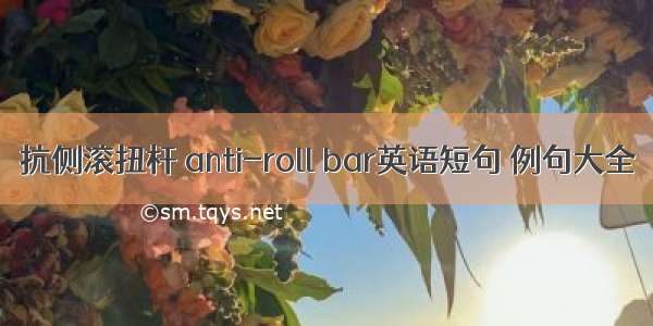 抗侧滚扭杆 anti-roll bar英语短句 例句大全