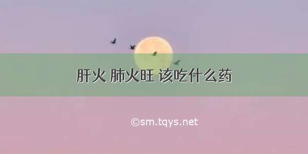 肝火 肺火旺 该吃什么药