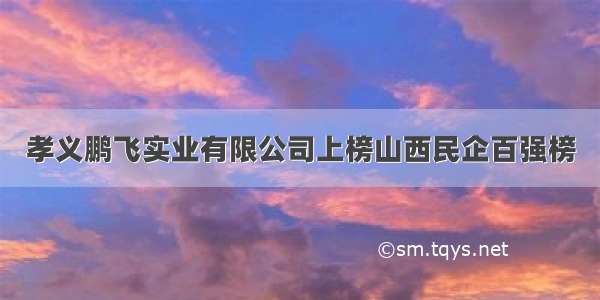 孝义鹏飞实业有限公司上榜山西民企百强榜