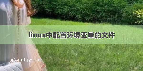 linux中配置环境变量的文件