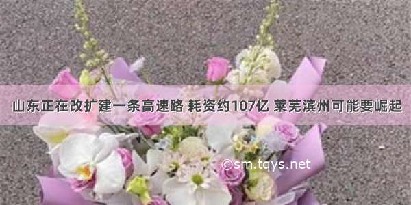 山东正在改扩建一条高速路 耗资约107亿 莱芜滨州可能要崛起