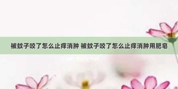 被蚊子咬了怎么止痒消肿 被蚊子咬了怎么止痒消肿用肥皂