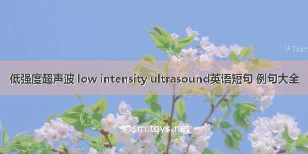 低强度超声波 low intensity ultrasound英语短句 例句大全